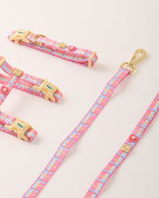 Cat Harness Sleepy Apartment