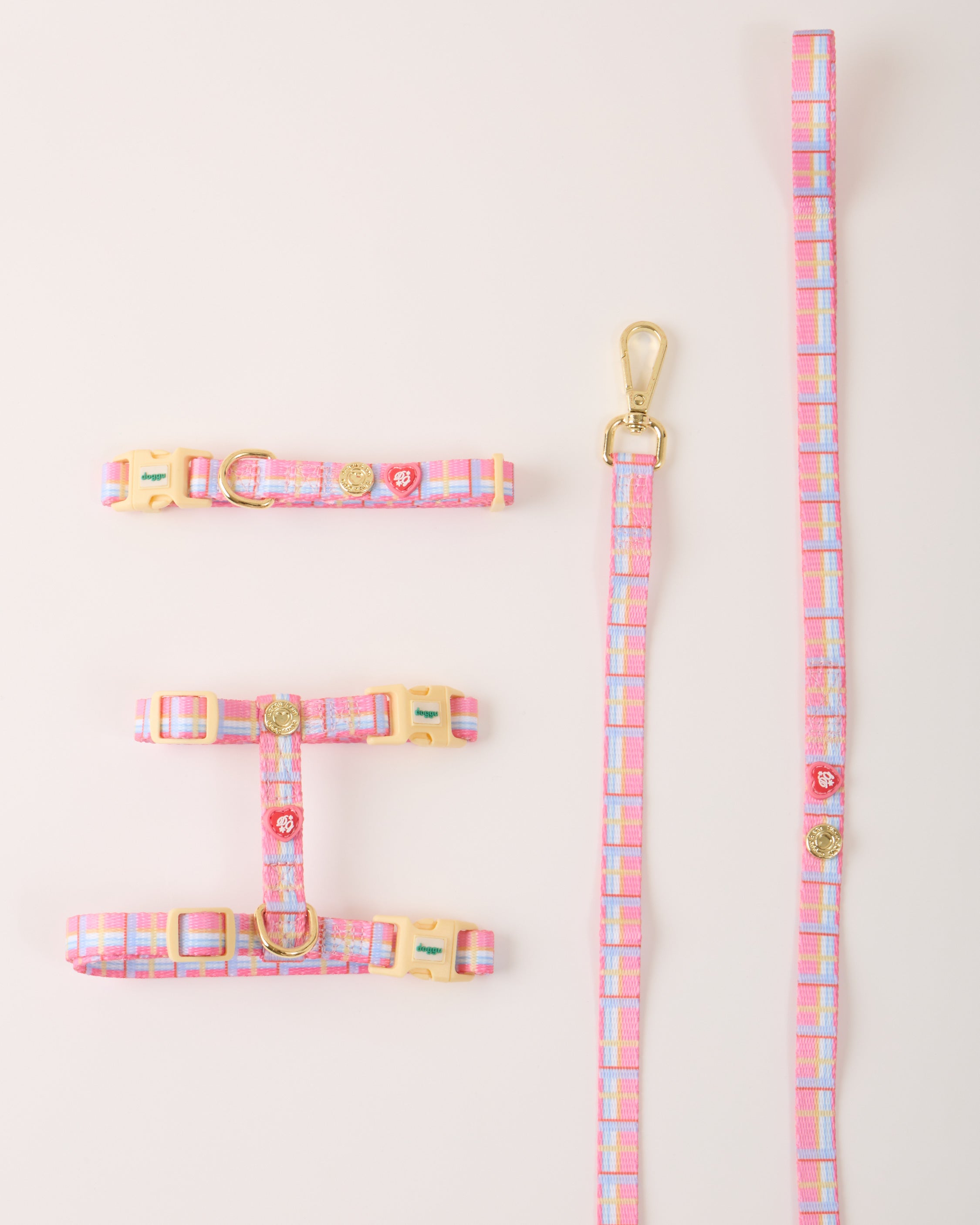 Cat Harness Sleepy Apartment