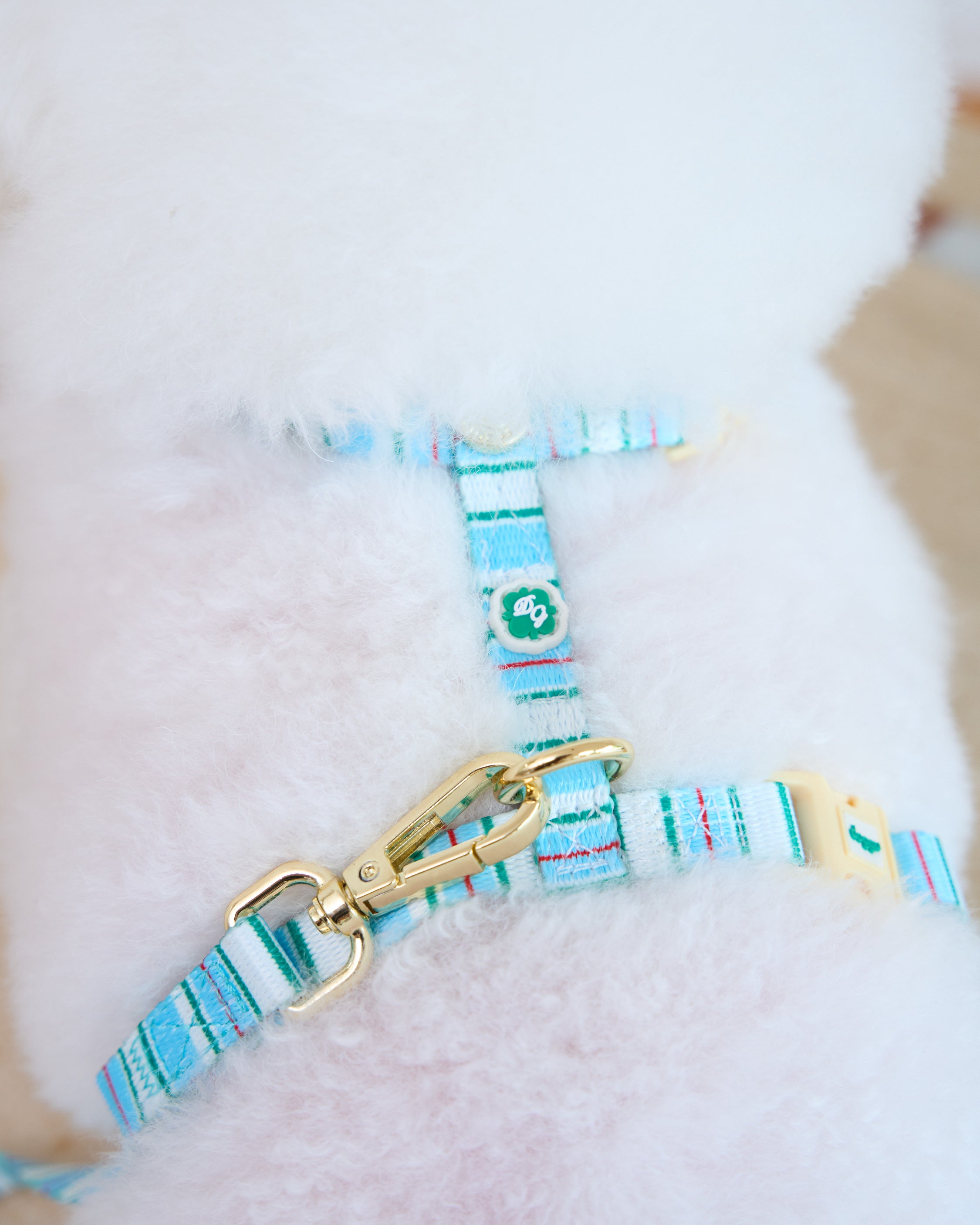 Cat Harness Sleepy Apartment