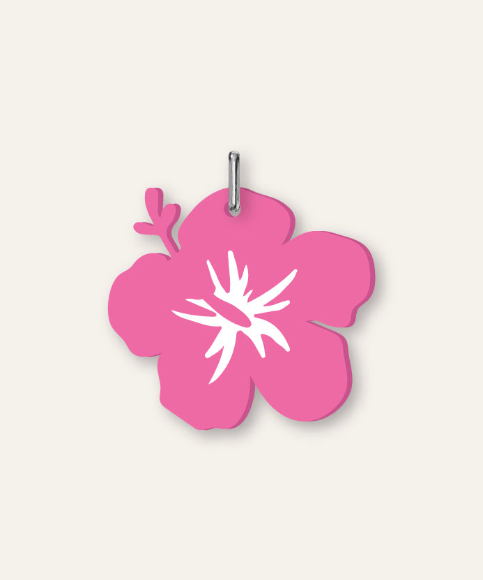 vector_charm_3-22.jpg