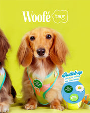 Woofé Tag : for Doggu Harness