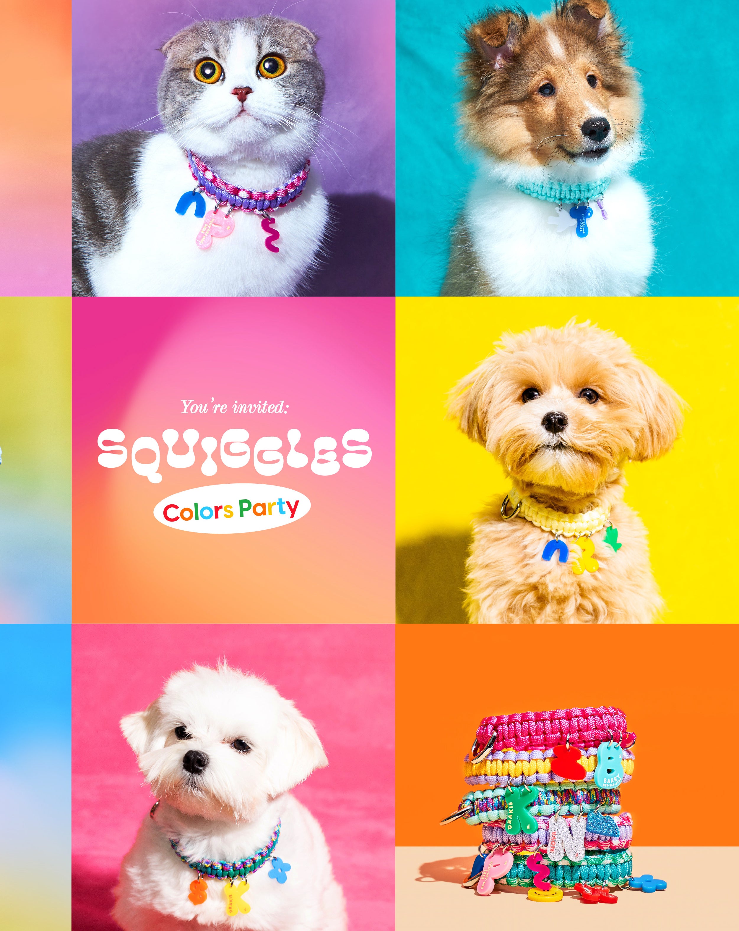 Create your own: Squiggles Collar