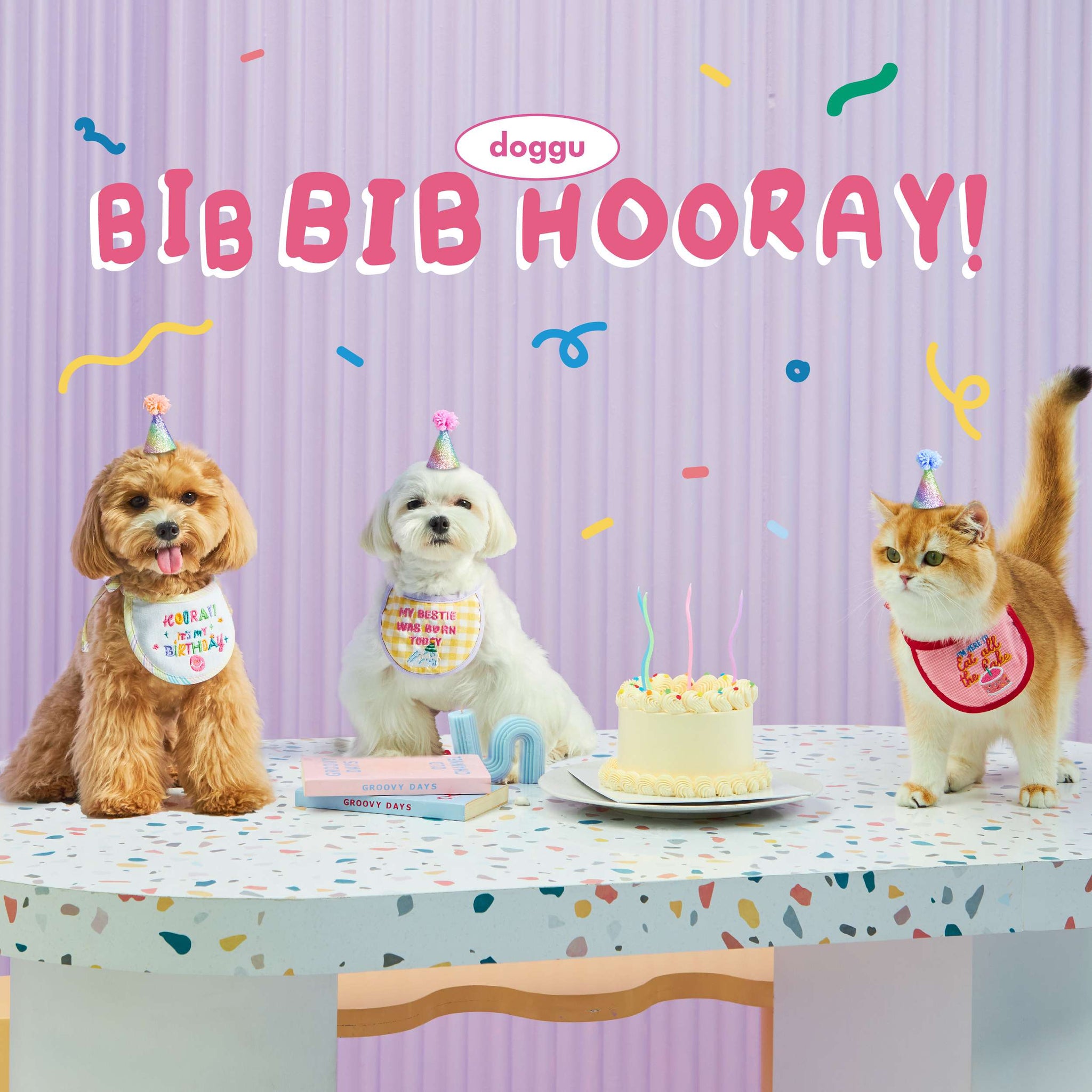 Bib Bib Hooray! Pet bib – Doggu pets