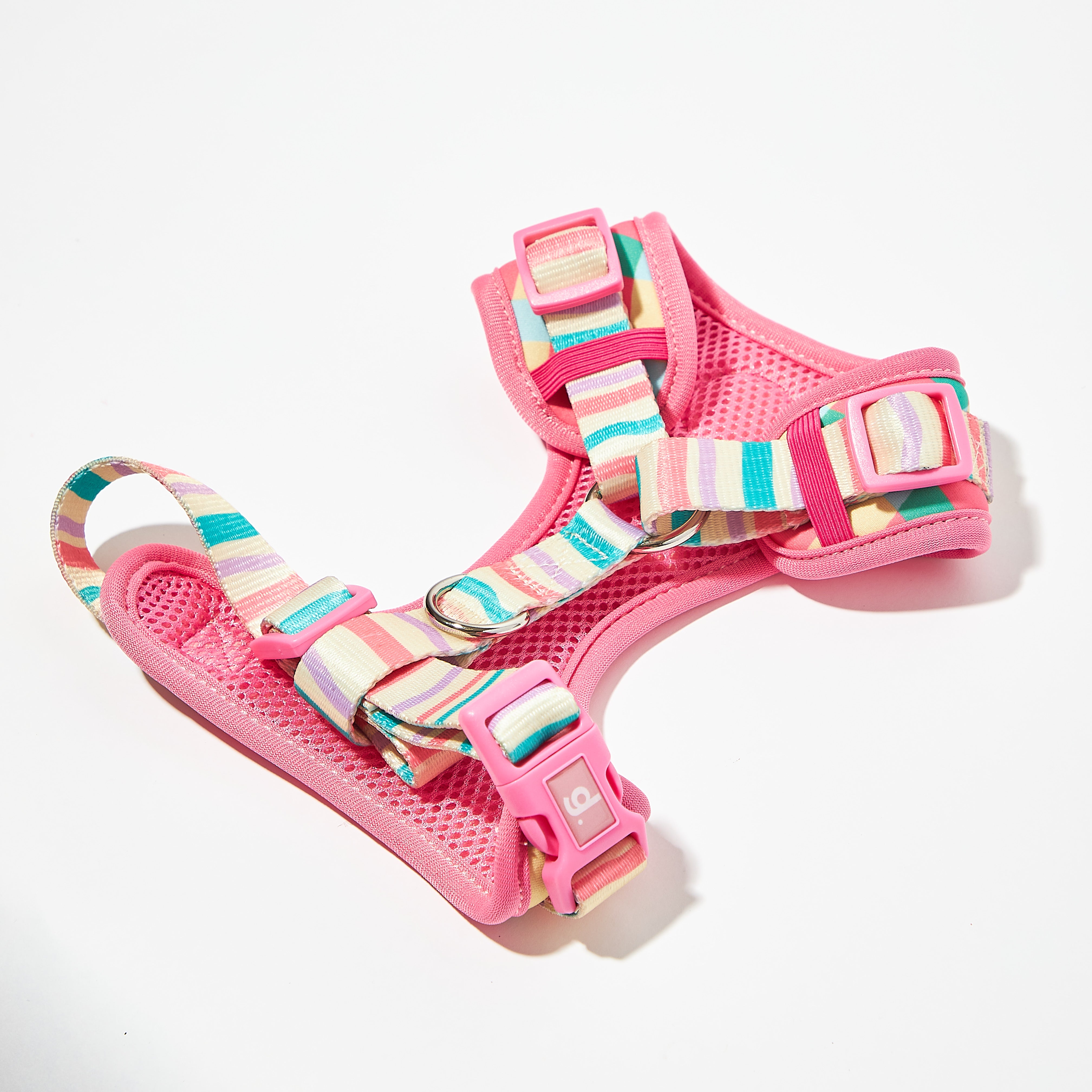 Perry Harness Set: Strawberry Afternoon